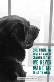 One Thing My Dog I Have In Common Dog Dog Quotes Inspirational Quotes Funny Quotes Life Quotes Dog Quotes Dog Quotes Funny I Love Dogs