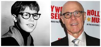 Cast of 'My Three Sons': How They are Then and Now 2025