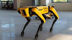 Robot Kopek Spot Fabrikada Isbasi Yapacak Teknoloji Haberleri