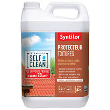 Revetement D Etancheite Toiture Toiture Self Clean Incolore 5l Syntilor Etancheite Toiture Toiture Et Etancheite
