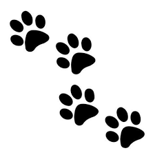 Image Result For Free Svg Files For Cricut Paw Print Art Puppy Paw Prints Cat Paw Print