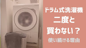 ドラム 式 洗濯 機 二度と 買わ ない