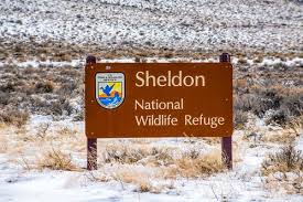 Image result for Little Catnip Spring - Sheldon Refuge Winnemucca NV