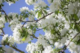 Frequent special offers and discounts up to 70% off for all products! The Trees Are Absolutely Beautiful This Time Of Year Sandy Utah Saltlakecity