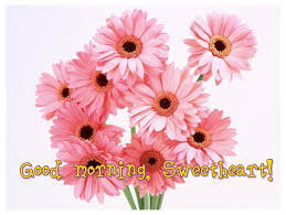 If u want to wish good morning, by sending good morning flowers hd free download. Good Morning Images With Flowers Gud Morning Flowers