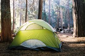 Cedar grove lodge is located just steps from where the kings river flows between granite canyon walls and just a few miles from road's end in beautiful kings cedar grove lodge is open from may through october. Sentinel Campground Kings Canyon Ca 2 Hipcamper Reviews And 7 Photos