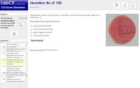 Exam Simulator Practice For Amt And Ascp Exams Exam Ascp Student Exam