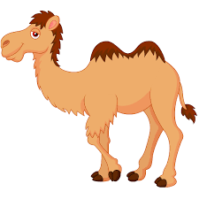 Some main body parts of a dog is the head, legs, and tail. Camel Clipart 70 Cliparts