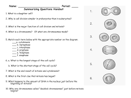 Carries out normal cell functions; Mitosis Power Point