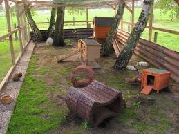 Outdoor Rabbit Care Outdoor Rabbit Housing Fuzbunz Rabbit Playground Rabbit Cages Outdoor Rabbit Hutches