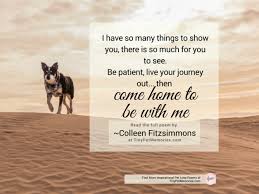 Check spelling or type a new query. Missing You Colleen Fitzsimmons Tiny Pet Memories