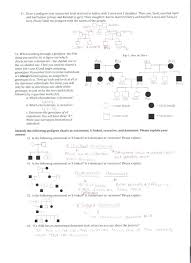 73 Efficient Simple Pedigree Chart Worksheet