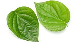 Manfaat Daun Sirih untuk Mata, Apakah Aman?