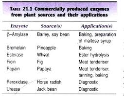 Enzyme Technology Application And Commercial Production Of
