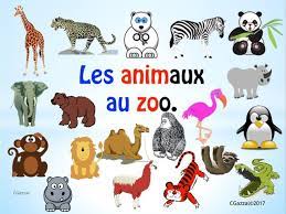 French Zoo Animals Teaching Resources