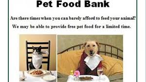 If you are unable to travel to your local food bank due to transport costs, you can call them and check if they can deliver your food. Pet Food Bank And Project Wildcat Schemes A Community Crowdfunding Project In Newtownabbey By 7th Heaven Animal Rescue Trust