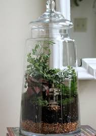 Easy Steps For Creating A Terrarium Hgtv Gardens Closed Terrarium Plants Terrarium Plants Terrarium Diy