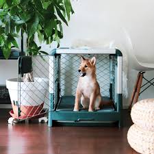 Make a kennel in the dogs' living area, if you're raising puppies. Uh7lf9wkjb N M