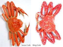 I almost always see them being sold legs only. at costco (in la) they usually go for about $20 to $24 a pound, or so, depending on the time of the year. What S The Difference Between Snow Crab And King Crab Southern Living