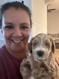 Hi all! I just wanted to introduce myself and share a photo I took of my  mini golden doodle.