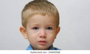 Cutest Little Boy Stock Photo 2378680