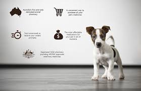 Maybe you would like to learn more about one of these? The Animal Pharmacy Australia S Founding Animal Pharmacy