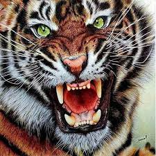 Resultado De Imagem Para Tigre Bravo Angry Tiger Tiger Pictures Animals