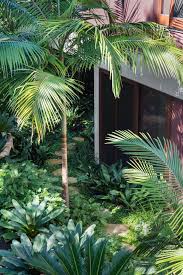 Layered Planting Scheme For A Shaded Garden In Sydney S Vaucluse Tropical Landscape Design Tropical Garden Design Shade Garden