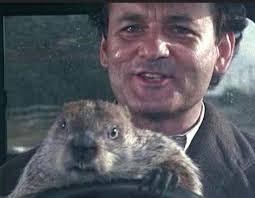 Last RV trip of the season with dogs