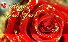Image result for happy new year