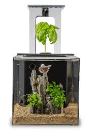 The Ecoqube C Aquaponics Betta Fish Tank Aquaponics System