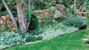 Maybe you would like to learn more about one of these? Shade Gardens That Shine Sunset Magazine