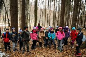 Peste 4.000 de cladiri ale scolilor nu au autorizatie de. Structura Anului Scolar 2016 2017 In Dezbatere Proiectul Scoala Altfel A Fost Extins