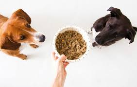 Raw natural pet food ~ as nature intended. Best Natural Dog Food