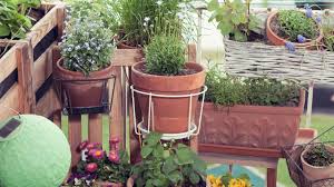 Von unseren gärtnern hören wir oft, wie glücklich es sie macht, sich über ihren meine ernte mietgarten wieder ein stück zu erden und frisches, unbelastetes gemüse aus eigenem anbau zu genießen. Neuburg Schrobenhausen Gemuse Statt Blumen So Holen Sie Sich Einen Garten Auf Den Balkon Neuburger Rundschau