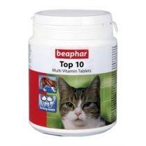 Pet Shop Kedi Kedi Evcil Hayvanlar Hayvan