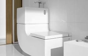 waste not with a combo sink toilet