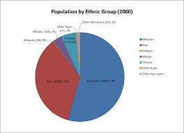 They are constitutionally muslims and were habitually fishermen and farmers originating from palembang in sumatra. Ethnic Group In Malaysia