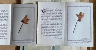 Bahai Conferences Home Facebook