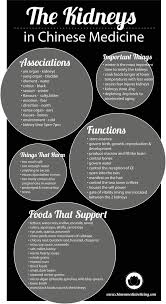 Can You Treat Kidney Disease Chinese Medicine Tcm Traditional Chinese Medicine Medicine