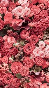 Wallpaper Iphone Android Pink Wallpaper Iphone Spring Wallpaper Spring Wallpaper Hd
