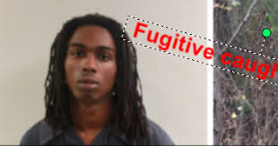 Mt. Hermon Web TV: Fugitive Arrested in Angie After Fleeing Into Woods