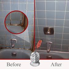 Best grout spot cleaner for mold and mildew: Mold In Your Shower It S Time To Act