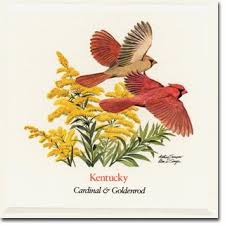 Maybe you would like to learn more about one of these? 52 State Birds And Flowers Ideas State Birds Birds Flowers