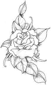 drawing rose rose tattoo images coloring pages