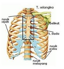 Pin Di Gambar Fashion