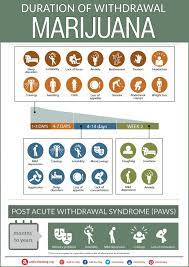 Early depictions of cannabis withdrawal, such as in the movie reefer madness, portrayed the withdrawal syndrome as being equivalent to withdrawal from opioid drugs, such as heroin, or even withdrawal from alcohol. Marijuana Withdrawal Timeline And Symptoms Duration Infographic