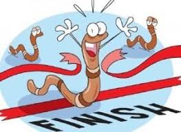 New Carlisle Library - 𝐎𝐮𝐭𝐝𝐨𝐨𝐫 𝐂𝐨𝐦𝐩𝐞𝐭𝐢𝐭𝐢𝐯𝐞 𝐖𝐨𝐫𝐦  𝐑𝐚𝐜𝐢𝐧𝐠! Location: Smith Park Friday, June 18, 10:00 a.m. (we will  reschedule if it rains) Bring a worm and get ready to rumble! We will