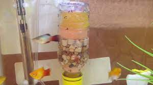 Diy Homemade Sponge Bio Ceramic Filter Self Sagacity Diy Aquarium Filter Homemade Aquarium Diy Aquarium