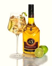 Ginger 43 One Last Summer Cocktail With Licor 43 Check The Recipe Europeanbartenderschool Summer Cocktails Cocktails Cocktail Drinks